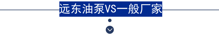远东圆弧齿轮泵