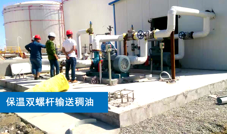 保温双螺杆泵 保温双螺杆泵